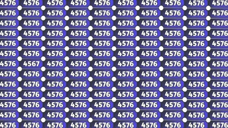 Zeka testi: Gizli sayı nerede? 789 kişiden 19’u bulabildi