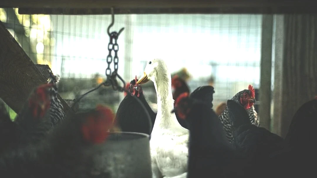 Ekonomiyi kötü etkilemesinden korkuluyor! Avrupa da yeni salgın alarmı: Vakaların patladığı iki ülke harekete geçti 2