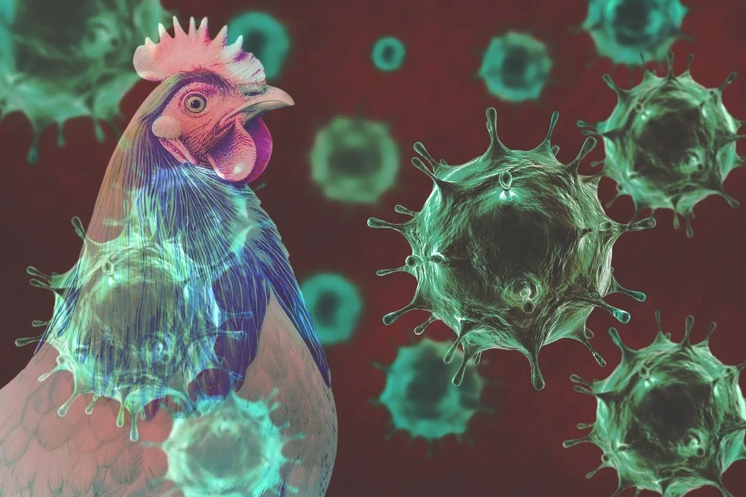 Ekonomiyi kötü etkilemesinden korkuluyor! Avrupa da yeni salgın alarmı: Vakaların patladığı iki ülke harekete geçti 1