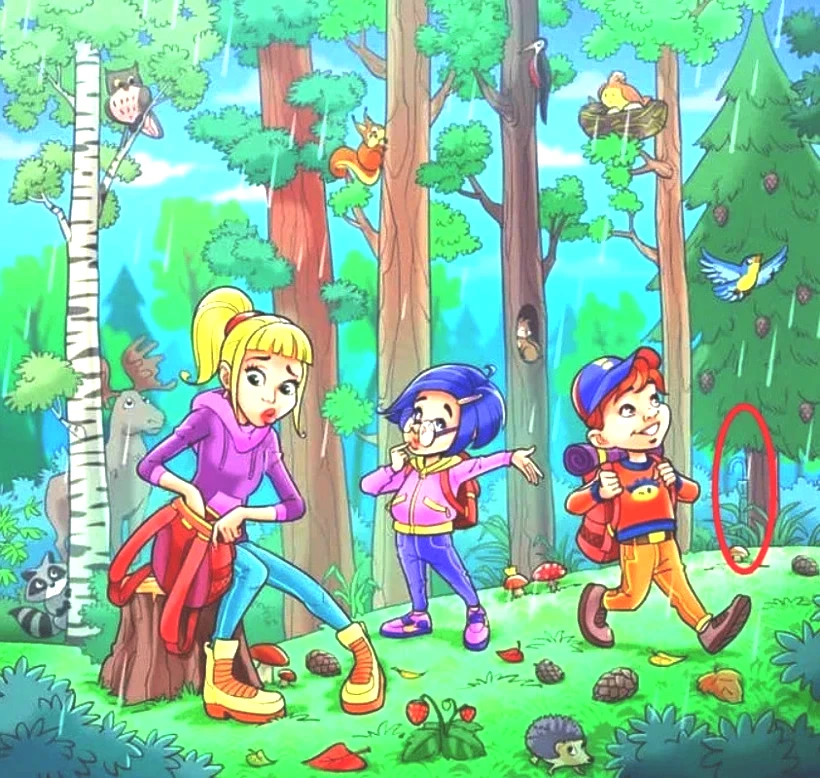 Zeka testi: Ormandaki kayıp şemsiyeyi 7 saniyede bulabilir misin? - Resim : 2