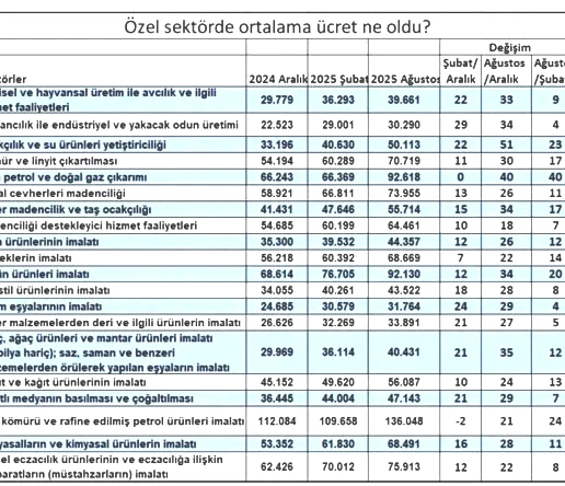 Özel sektörde maaş artışı asgari ücretin altında kaldı - Resim : 1