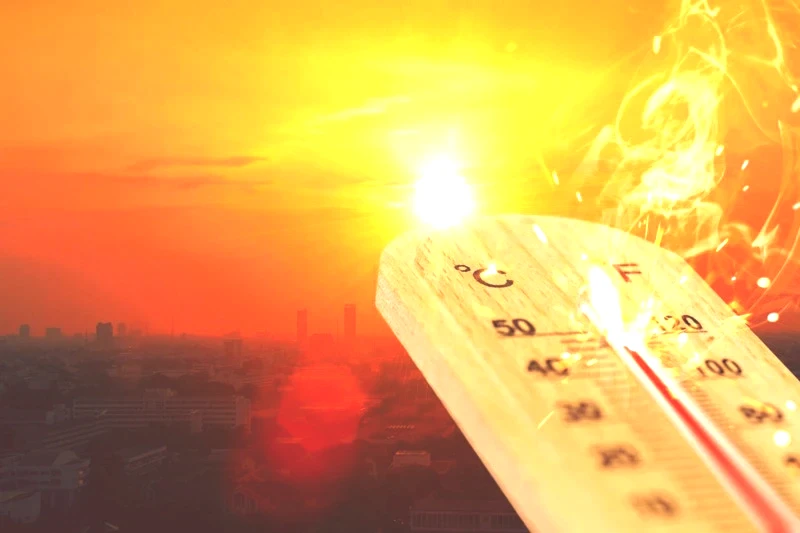 Dünyadaki bu 50 şehir için korkunç tarih verildi! Gündüzleri sokağa çıkılamayacak, Türkiye'den de 9 il var - Resim: 55